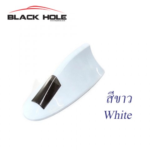 White19